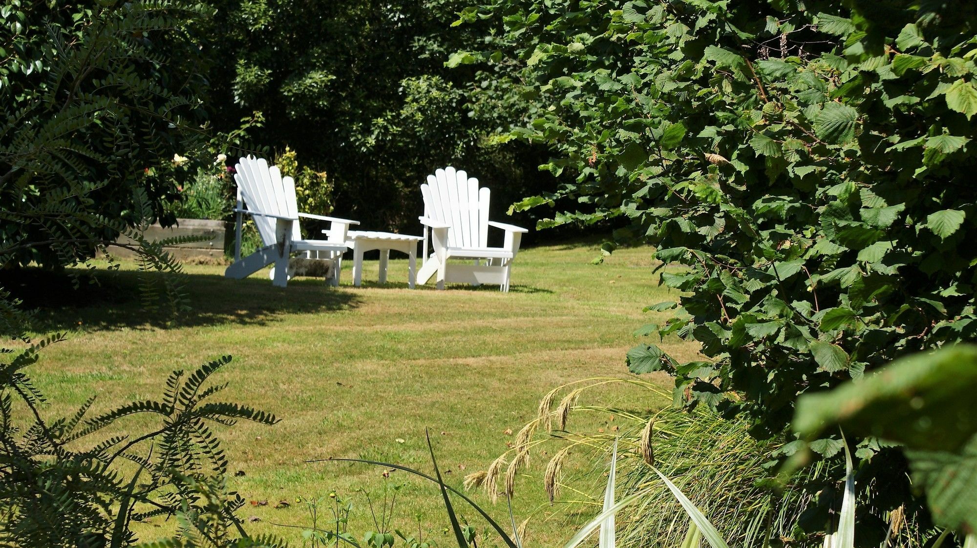 Chalet Eiger Taupo Exteriér fotografie